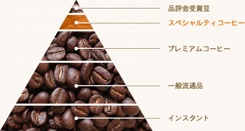 スペシャルティコーヒーについて　ピラミッド